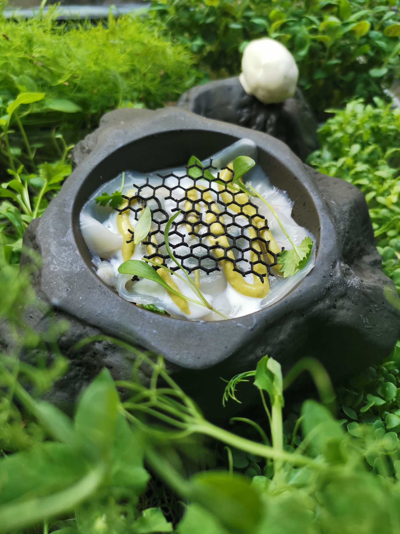 Assiette végétale de Son’ présentée dans un écrin de verdure