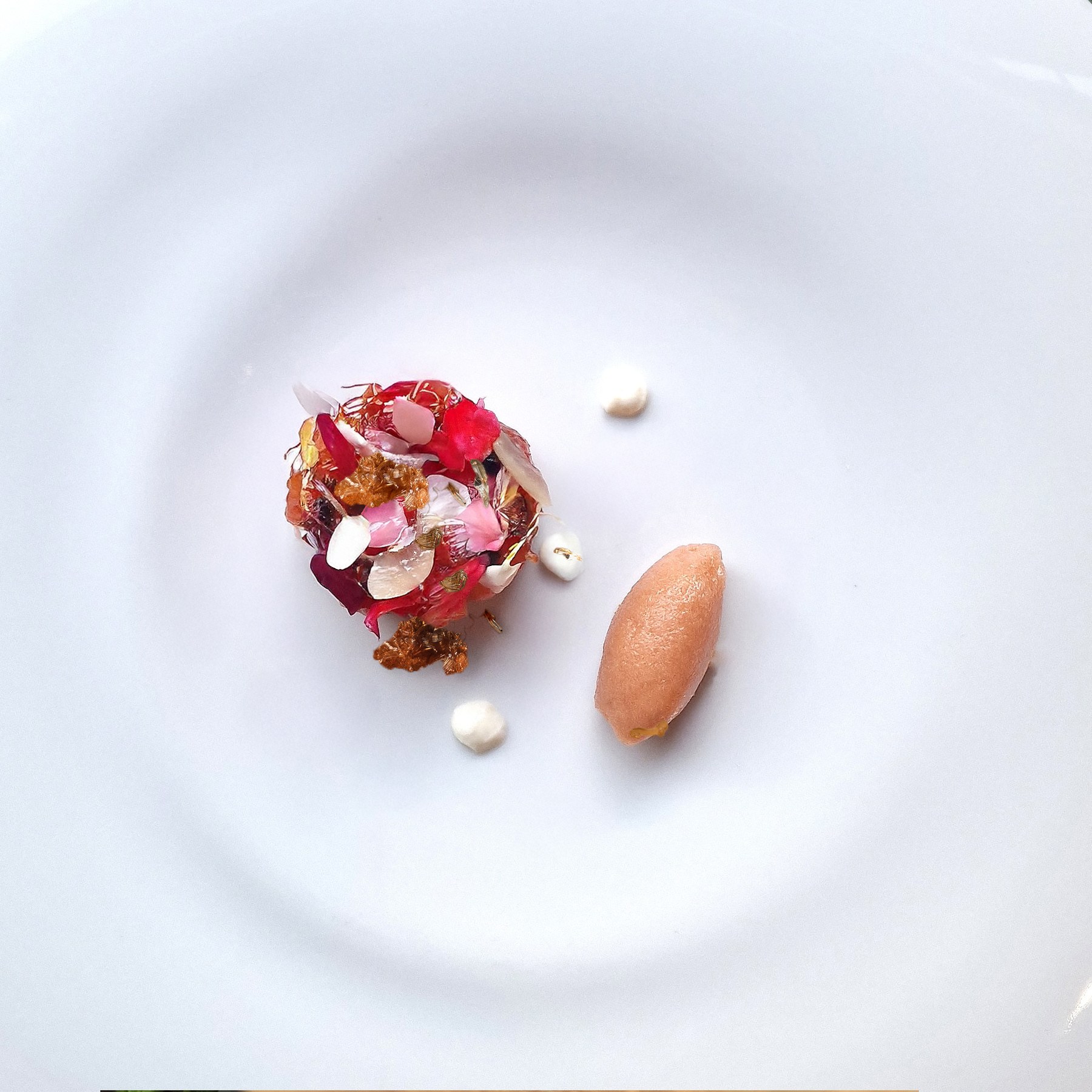 Assiette autour de la tomate et du balsamique